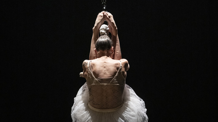 Coppelia, un ballet mécanique