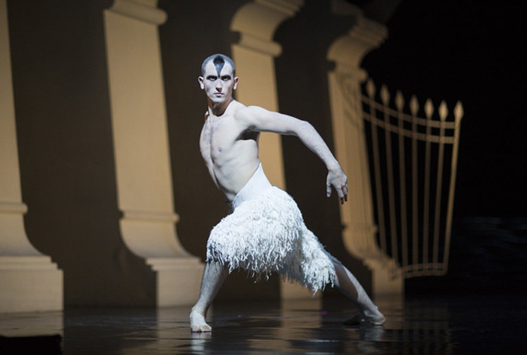 Il Lago dei cigni: questione d'identità