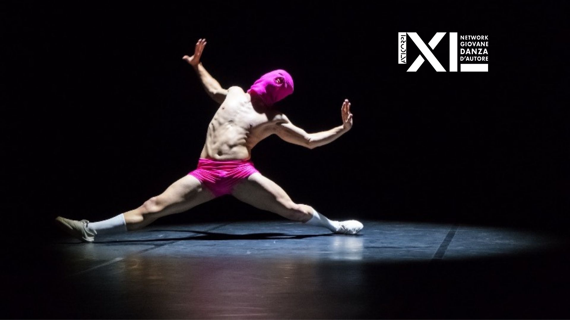 Network Anticorpi XL