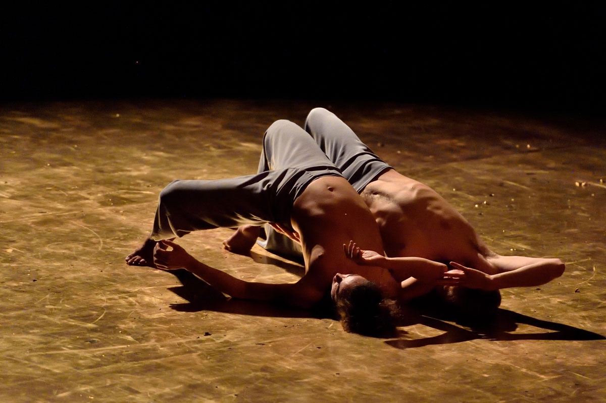 Formazione del pubblico