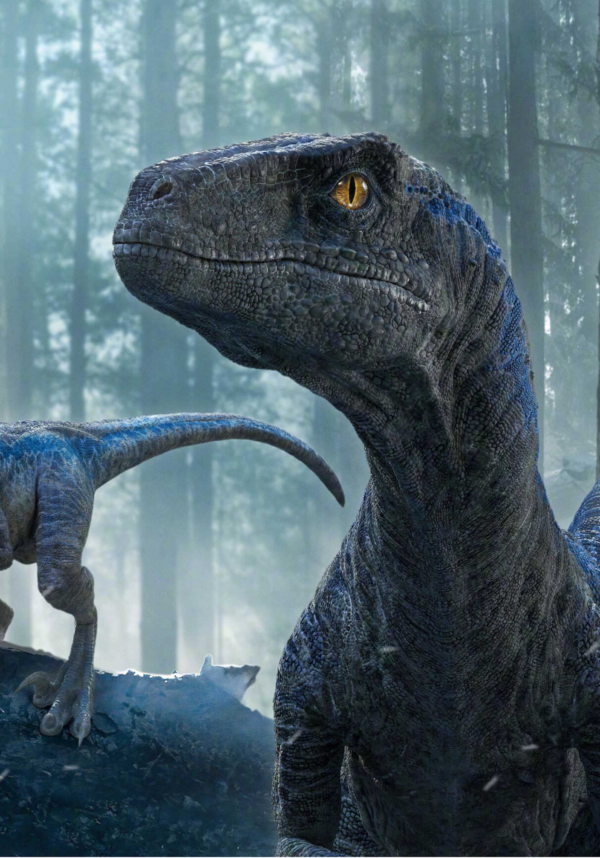 Jurassic World - Il dominio messages.photo