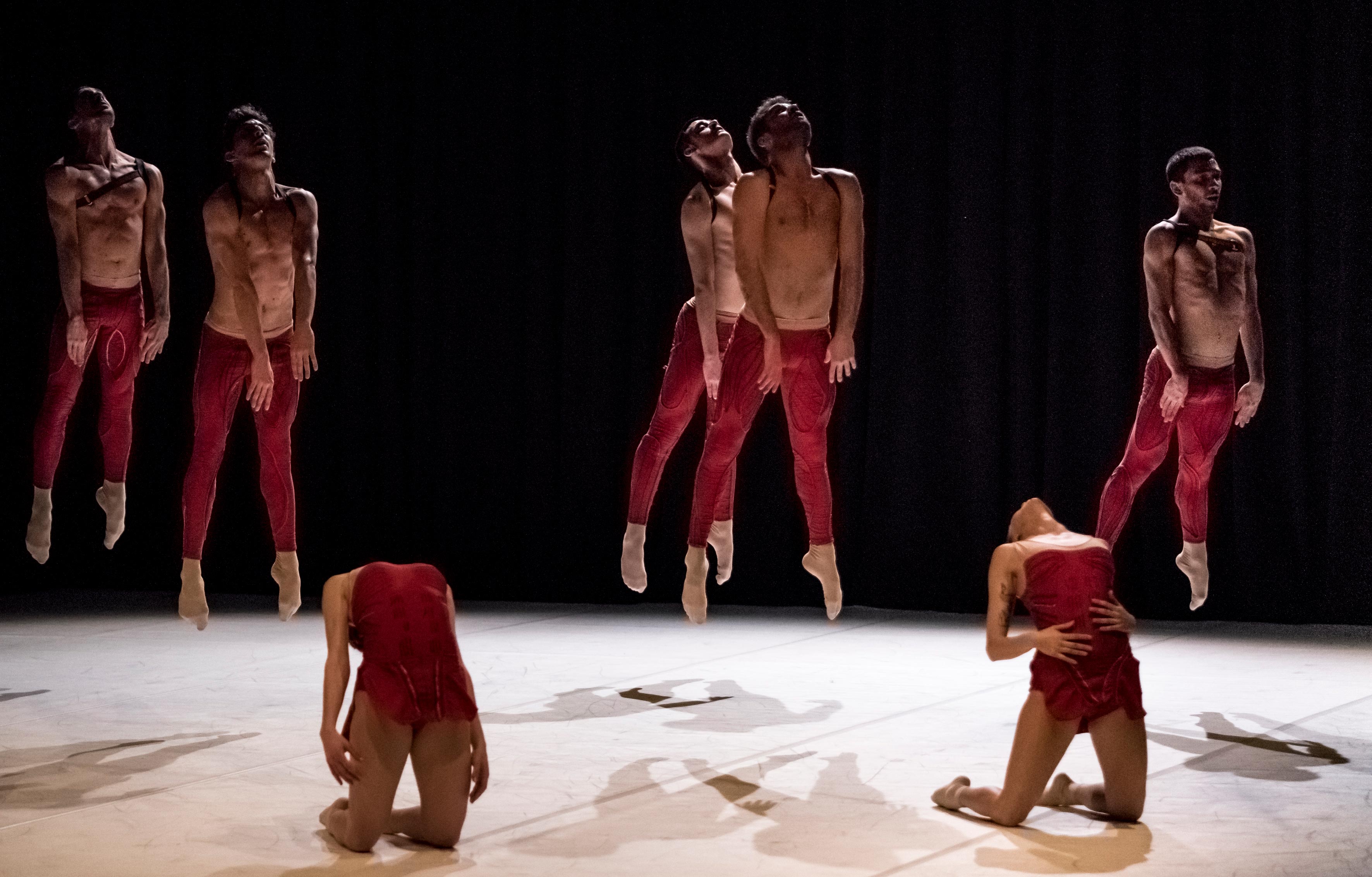 MM Contemporary Dance Company